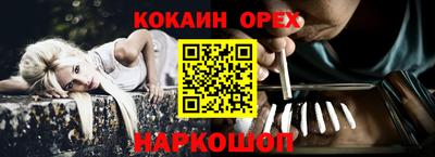 дживик Гай