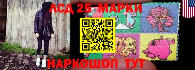 шишки Гатчина