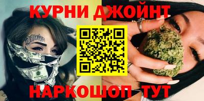 шишки Гатчина