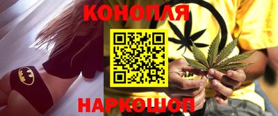 шишки Гатчина