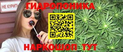 дживик Гай
