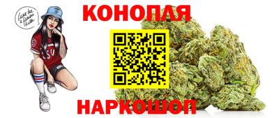 шишки Гатчина