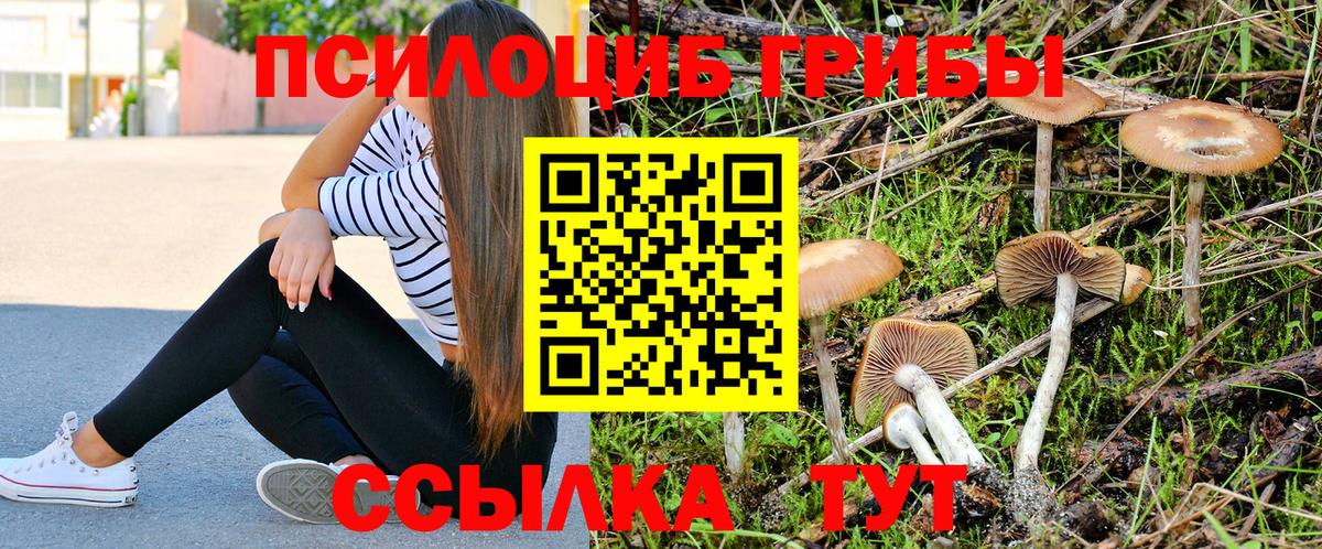 Малоярославец  Псилоцибиновые грибы Magic Shrooms  Вход с VPN 